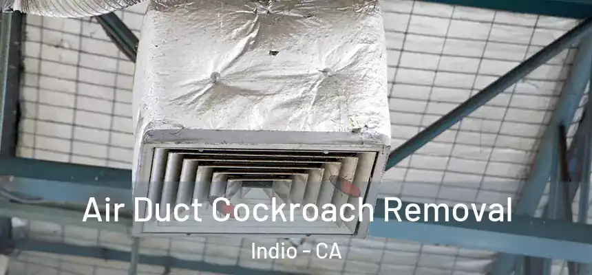  Air Duct Cockroach Removal Indio - CA