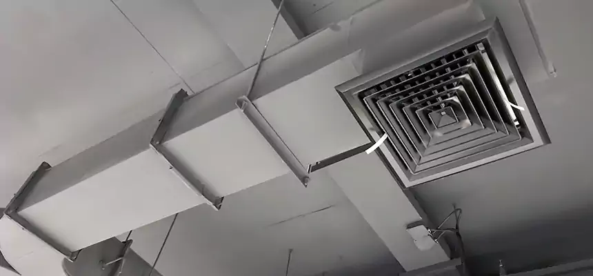 Restorative Allergy Relief Vent Cleaning – Coil, Blower & Housing Detail in Indio