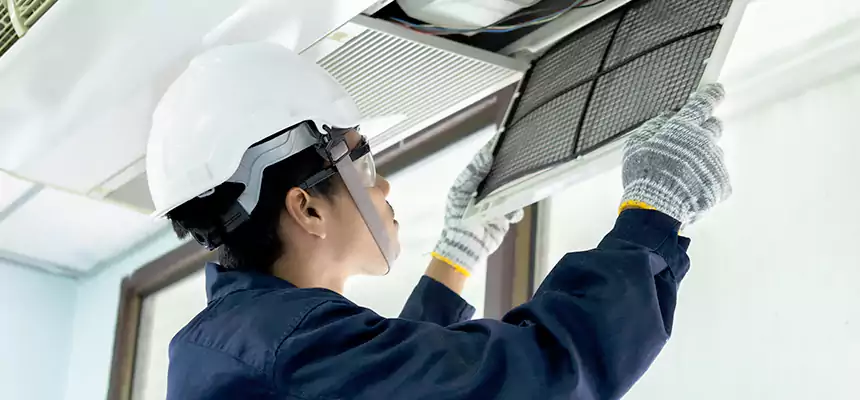 Our Mold & Mildew Removal from Air Ducts Services in Indio, CA