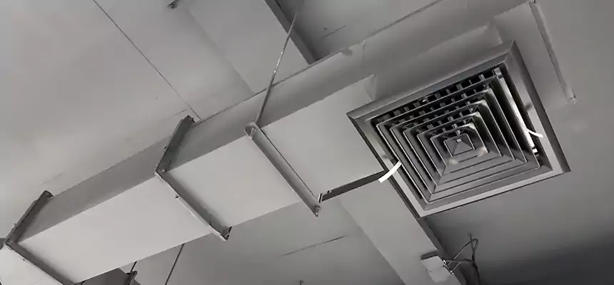 Our Rodent Droppings In Vents Services in Indio, CA