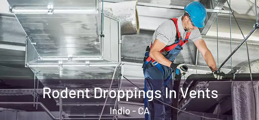  Rodent Droppings In Vents Indio - CA