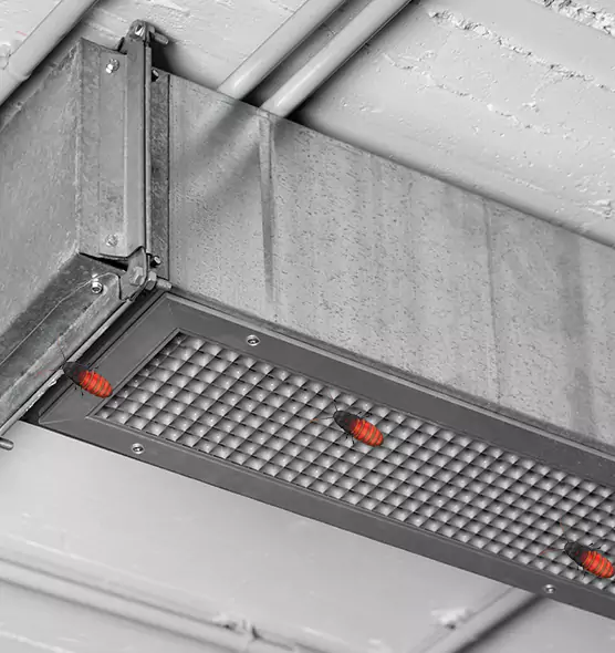 Affordable Insect Removal from Air Ducts in Indio, CA