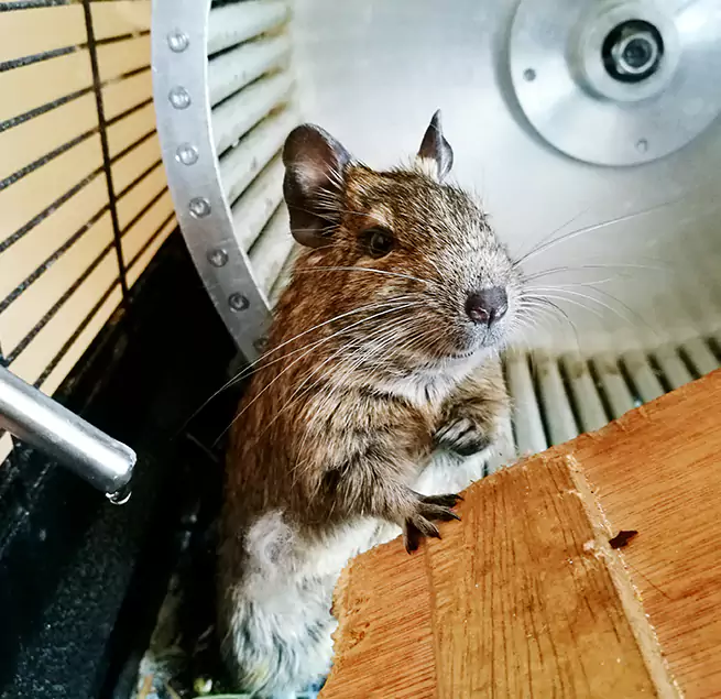 Why Homeowners & Businesses Trust Us Indio, CA?