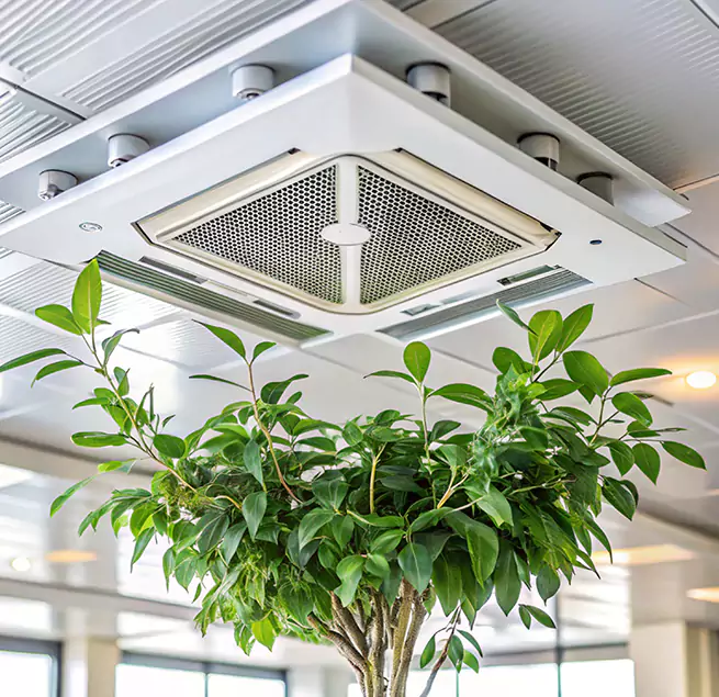 Why Homeowners & Businesses Trust Us in Indio, CA